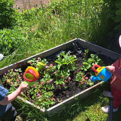 Gartenarbeit